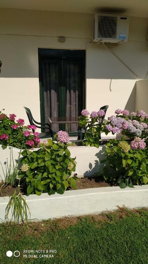 Dream House Apartment Агия Параскеви Екстериор снимка